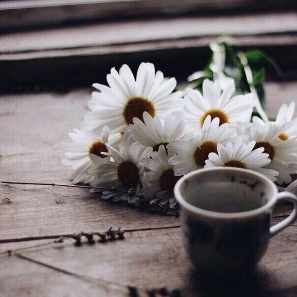 "Ни дня без боли не живёшь..." (28.08.2020)