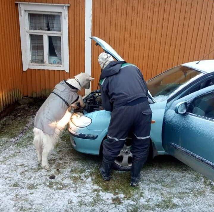 Манька и субботняя рыбалка