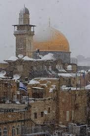 «МОЙ» МИХАЭЛЬ 2 (ХОККУ)