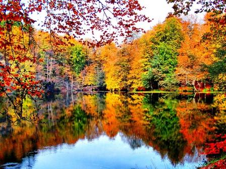 ЗЛАТОКУДРАЯ ОСЕНЬ