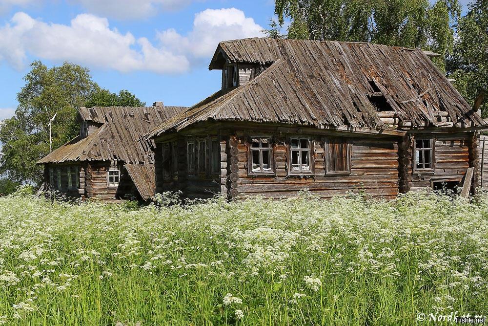 Канули в лету... (Хокку)