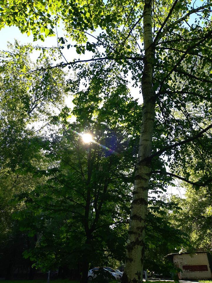 Лето яркое от 18. 07. 2016 