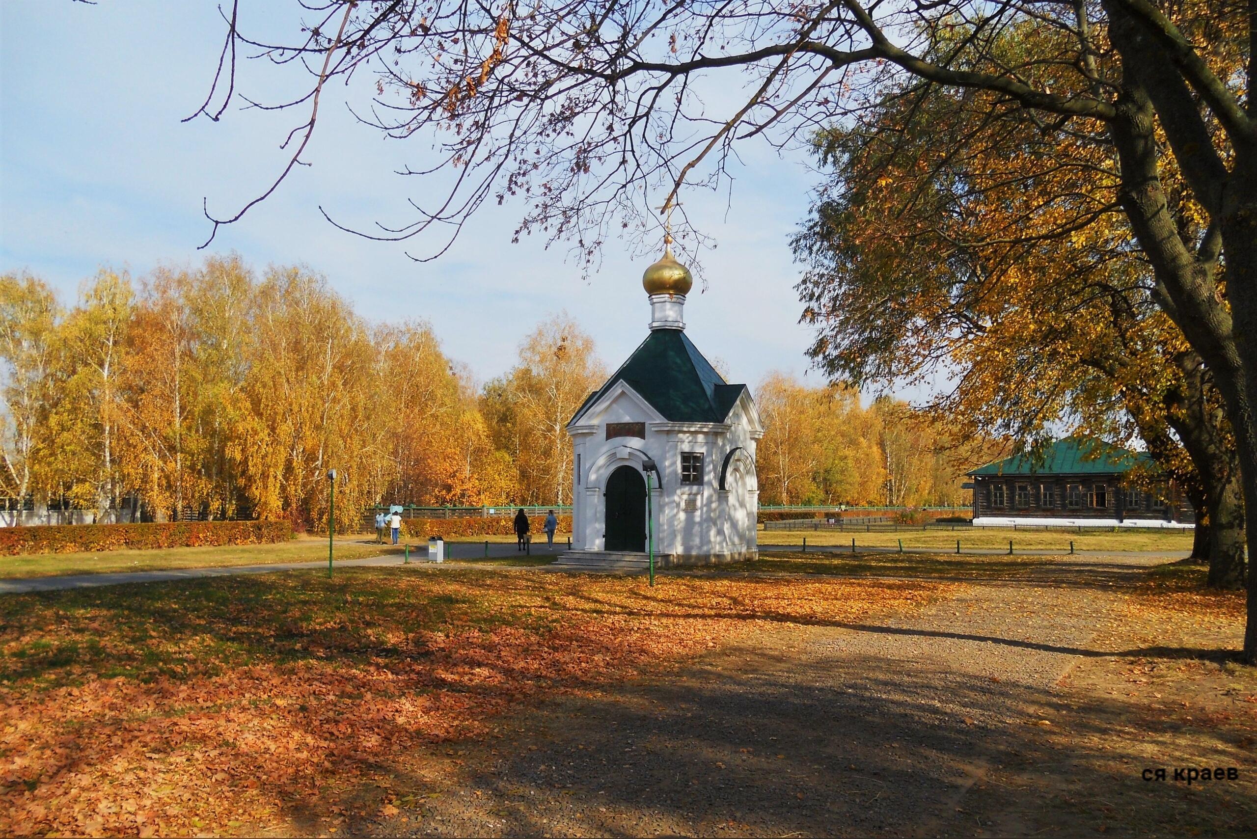 Закружилась листва золотая… ( С. Есенин ) 