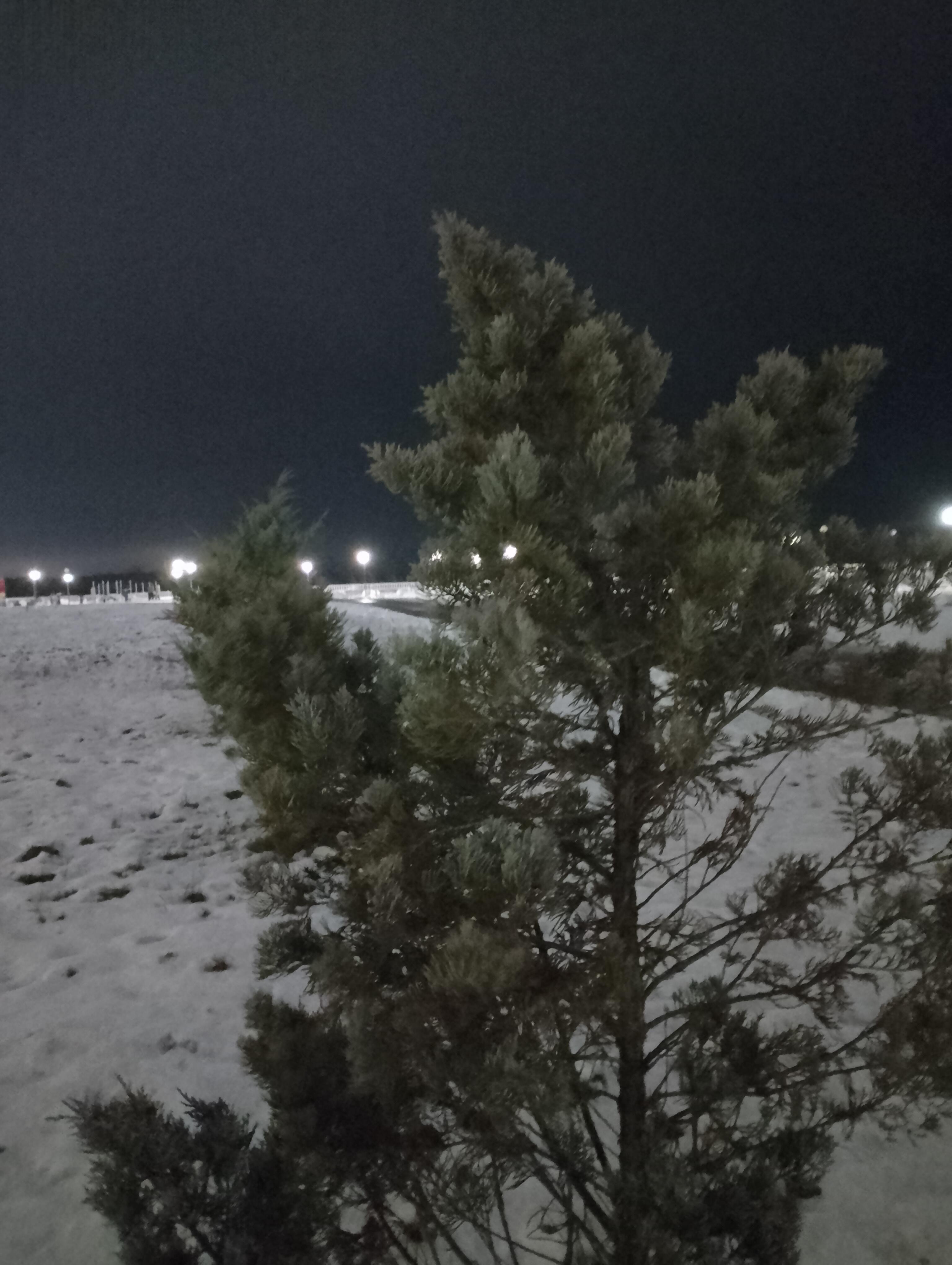 Какой-то склизкий декабрь