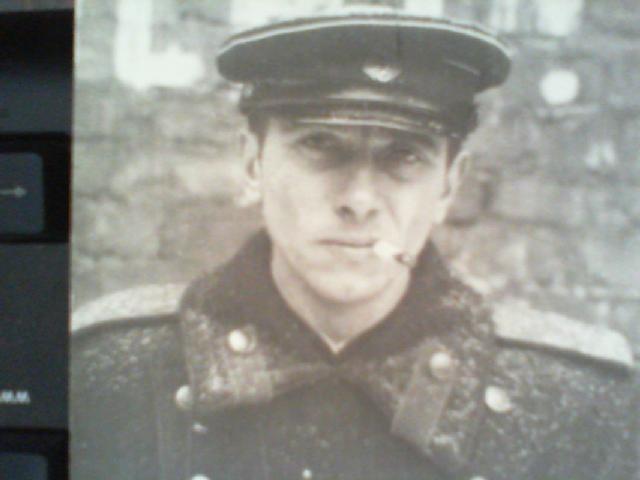 О Бродском-политике