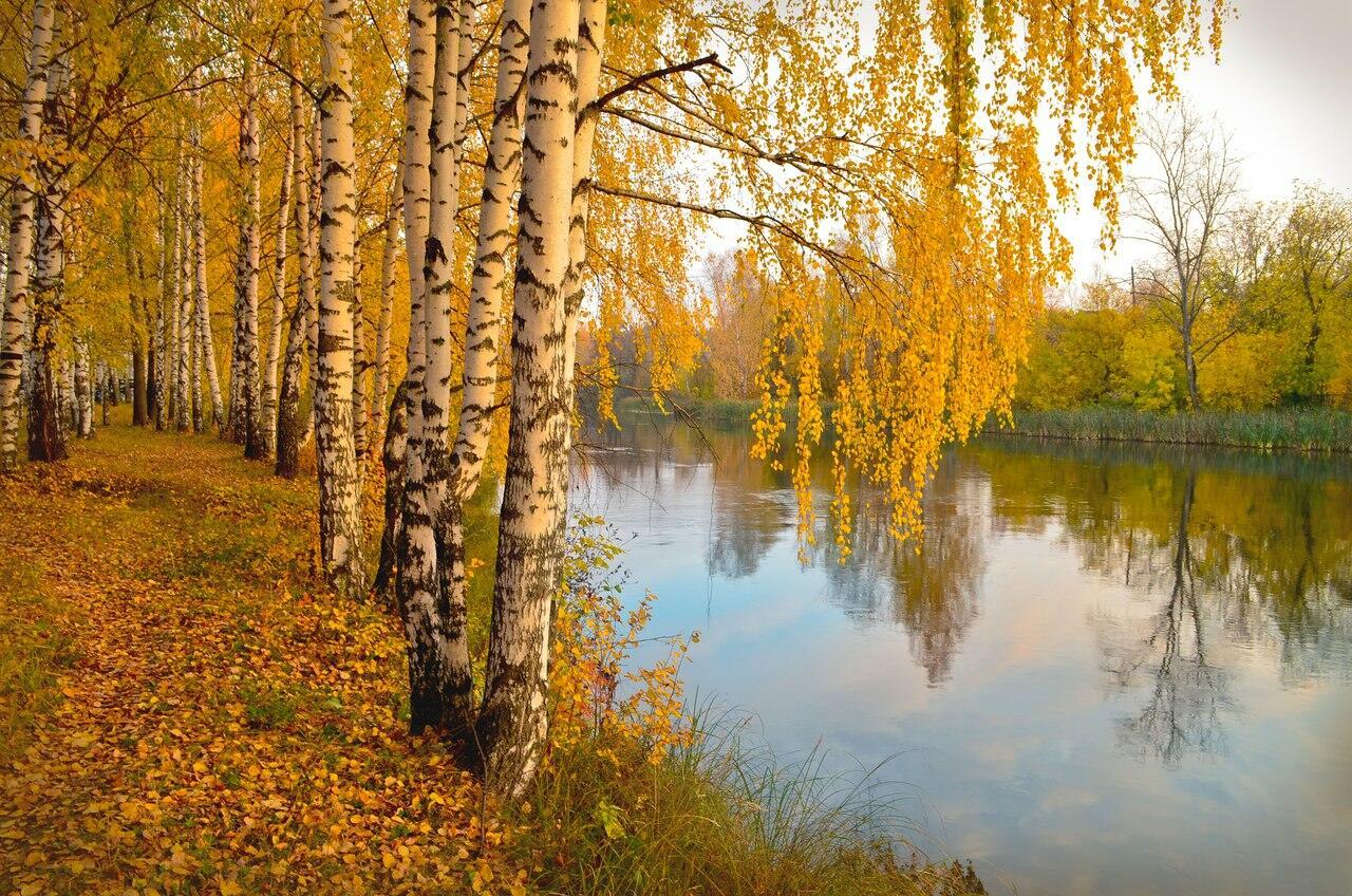 Я не устал, я просто отдыхаю