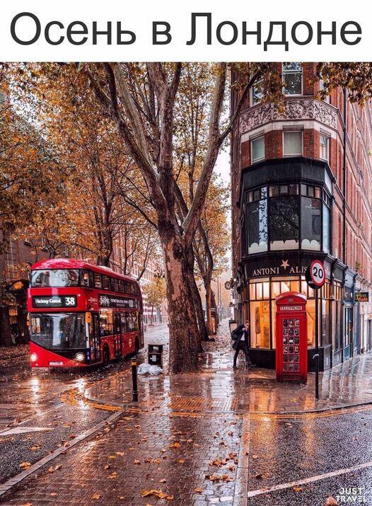 осень в лондоне