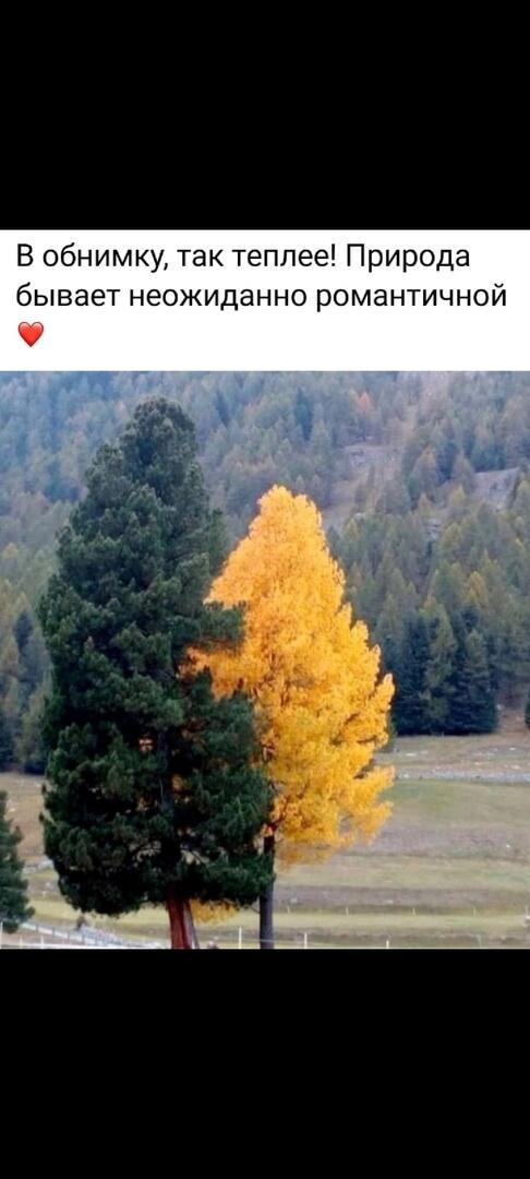 В контрасте цвета