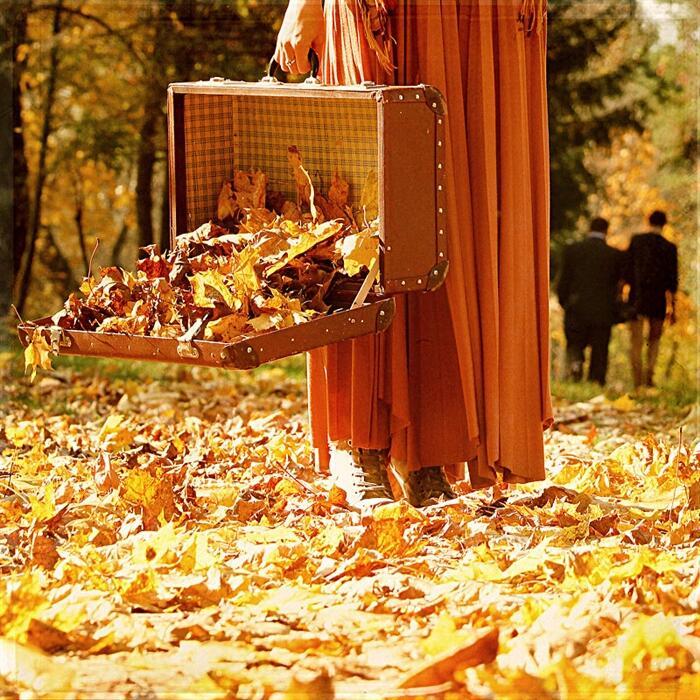 Пакует чемоданы осень