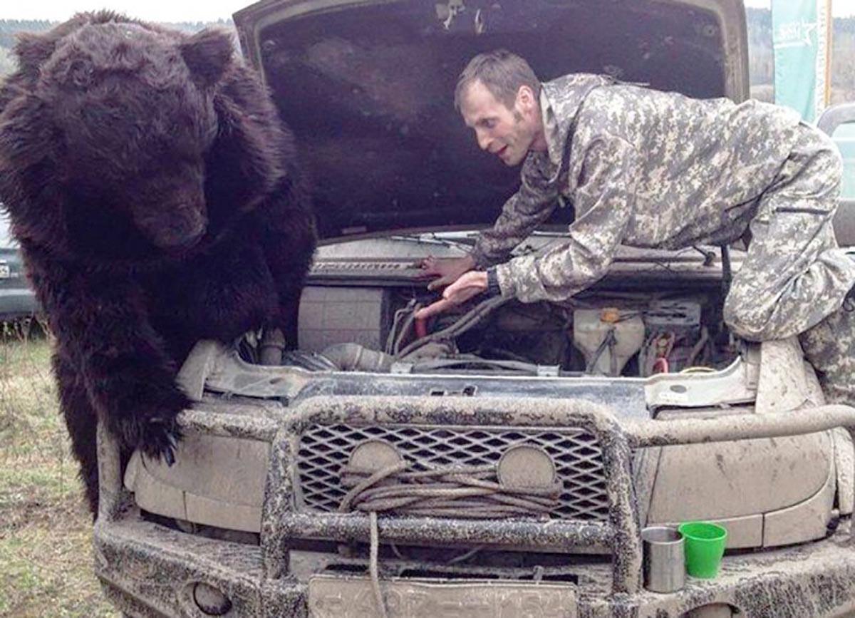 Прикольные русские бесплатные