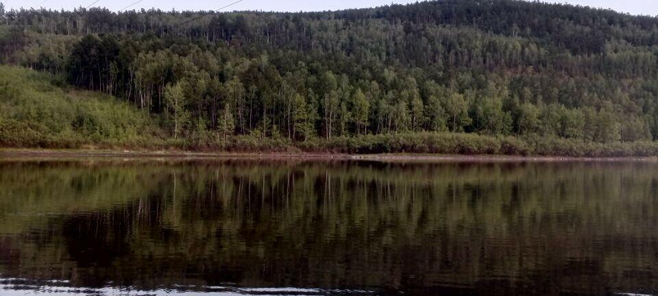 Таёжный роман