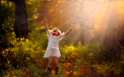 Цветок и бабочка