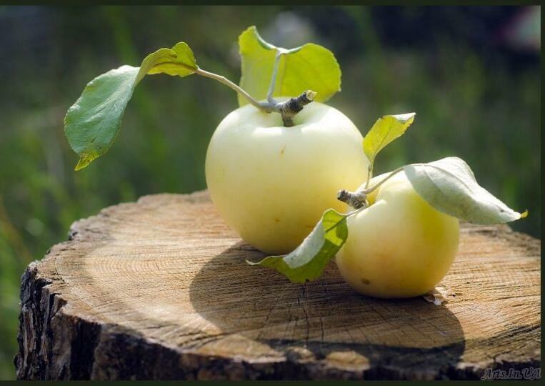 Померещилось (Под впечатлением от стиха Паршиной Людмилы)