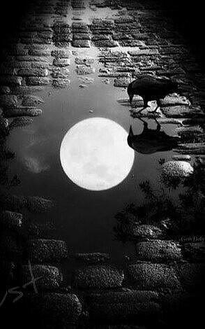 захочешь - увидишь