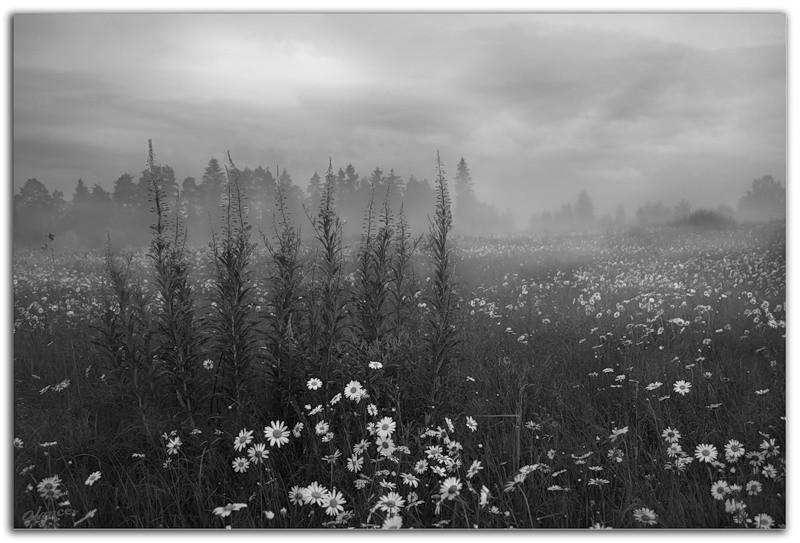 Возвращение