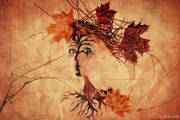 Кленовая Ассоль Грея