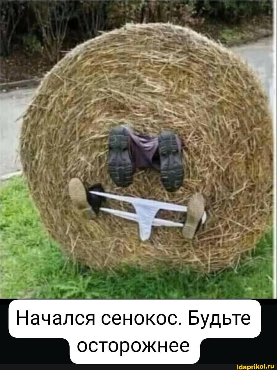 Что в стогах ещё найдётся. ДвуХстишье