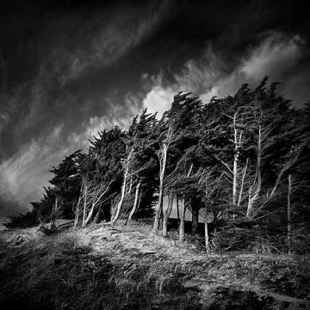 КОГДА В НОЧЬ ШУМЯТ ВЕТРА…