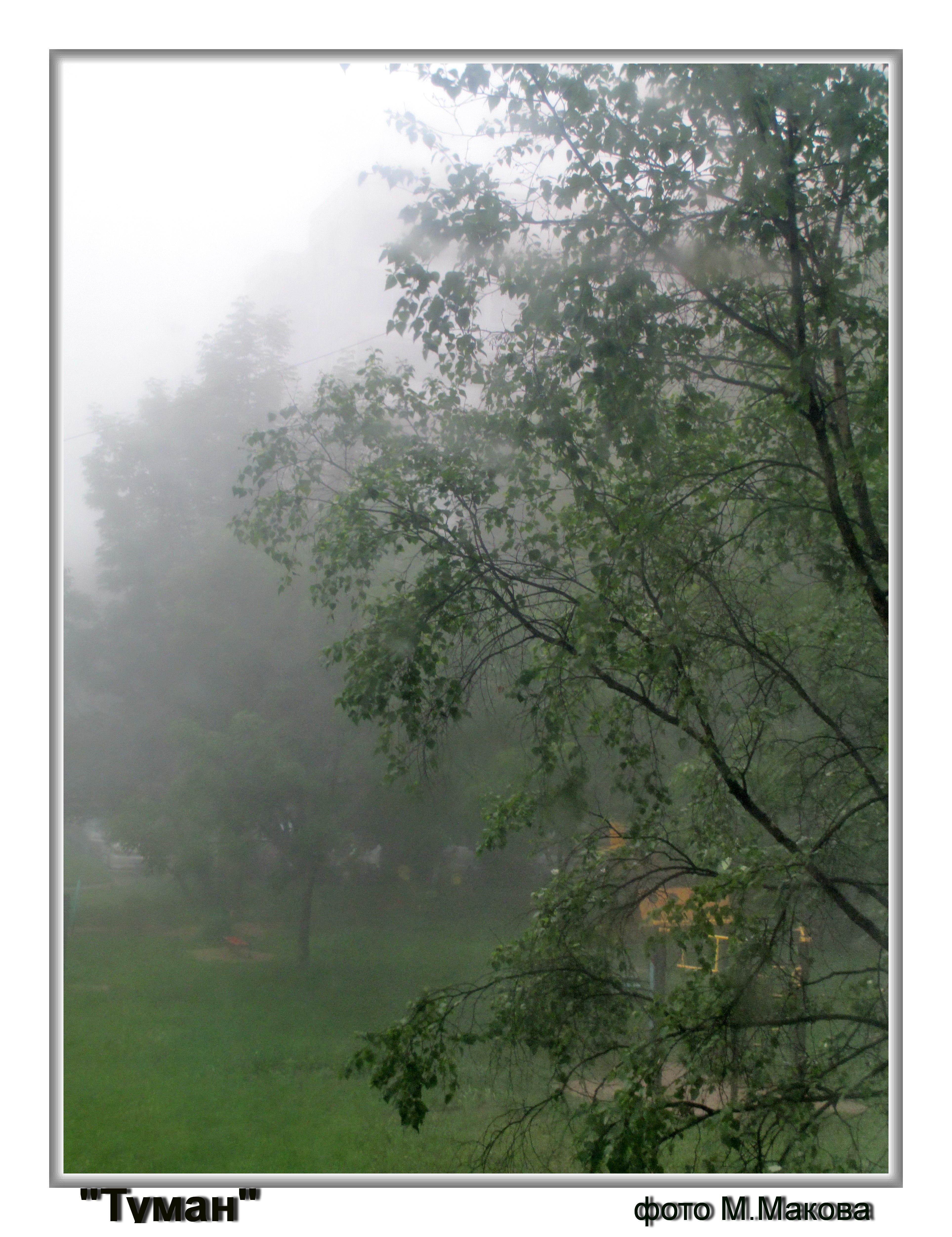 ТУМАН ВПОЛЗАЕТ