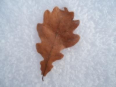 при совмещении времён...