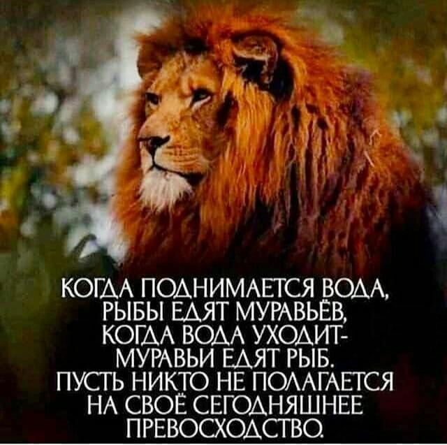 Блатные лезут напролом.