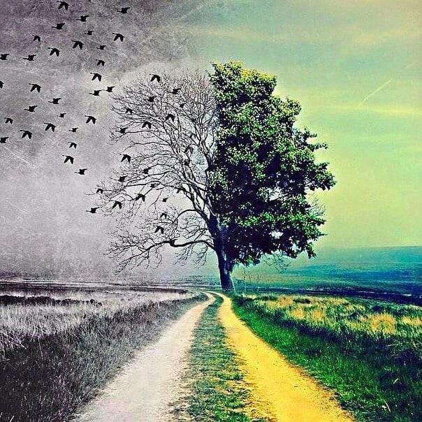 тишина в тишине