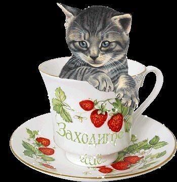 Как найти покой (притча)