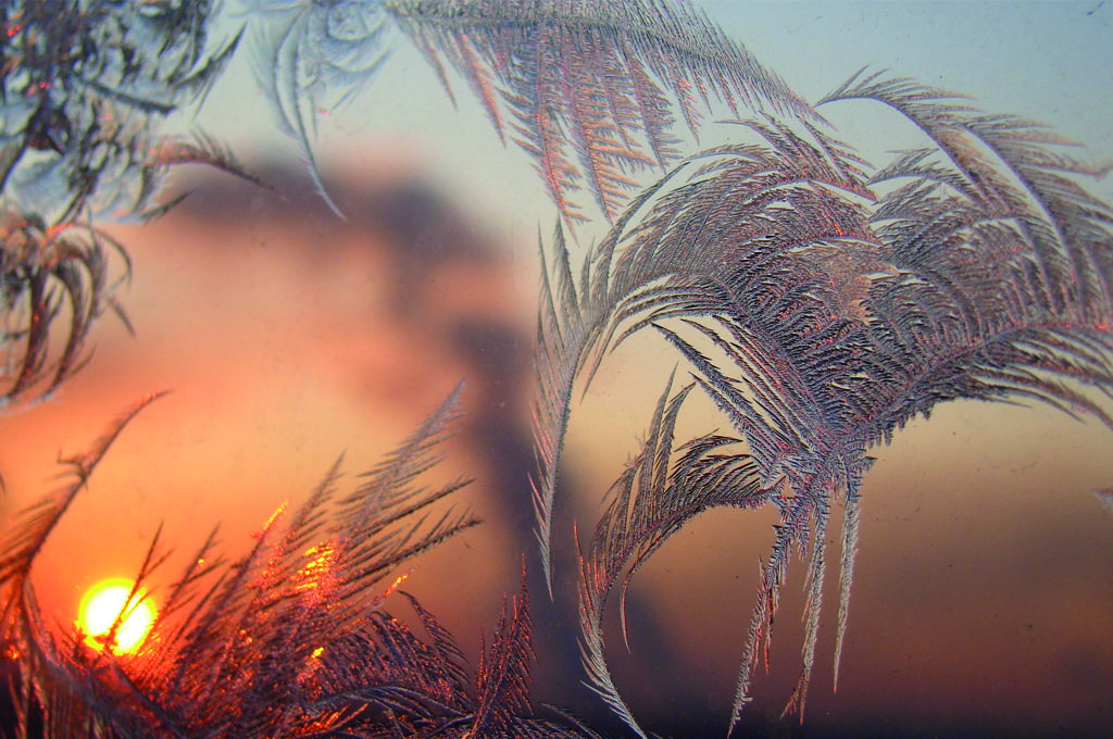 Ты любишь и красного солнца восход