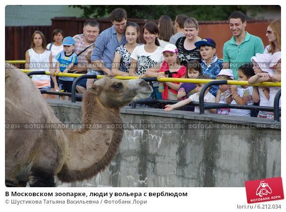 ПОЭМБУКОВЦЫ В ЗООПАРКЕ (загадки)