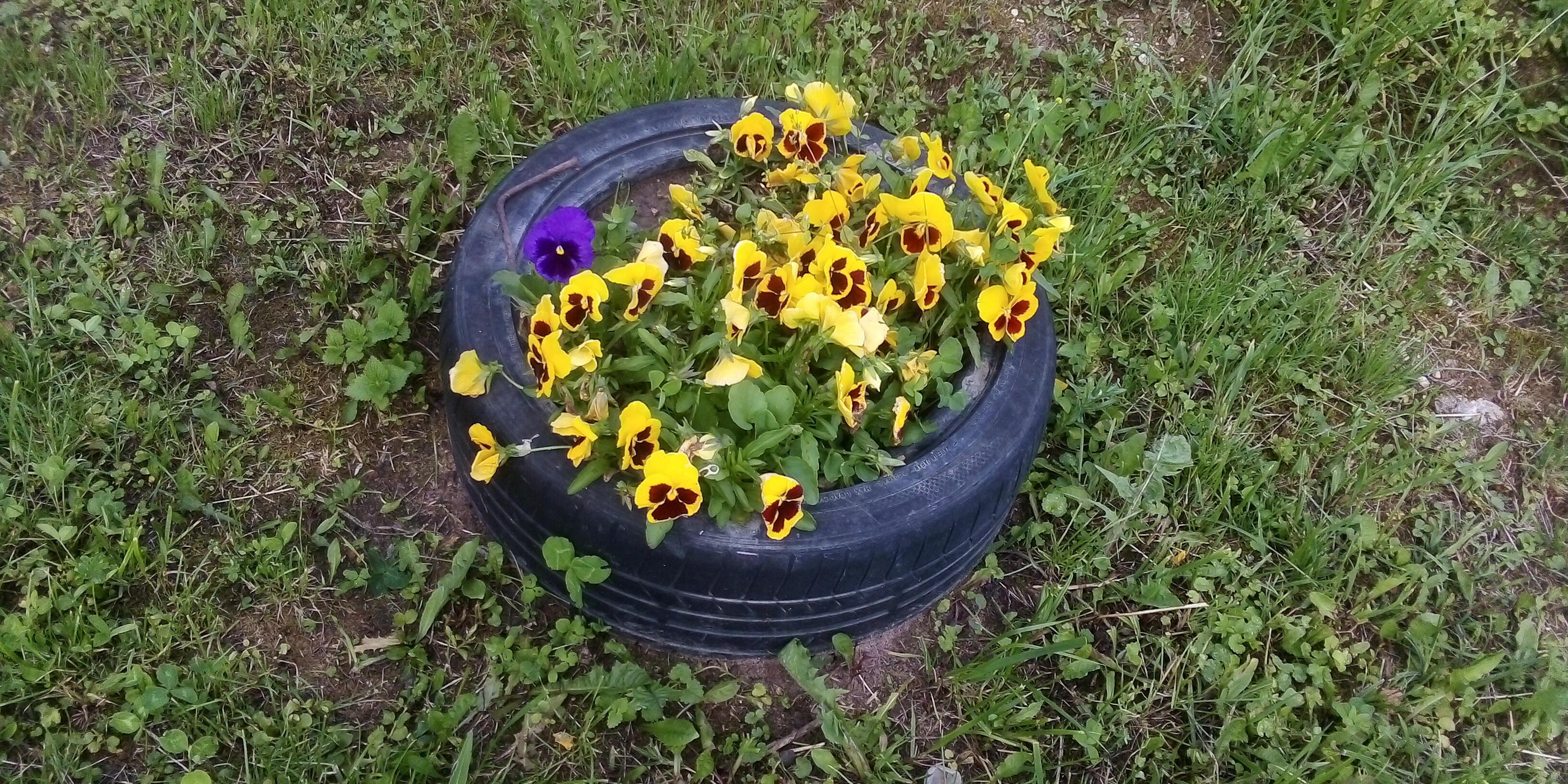 Мы ловим LOVE удачу