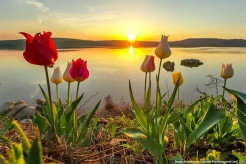 Когда мы встретимся в раю