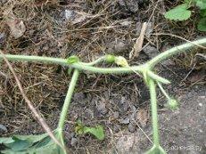 ОДИНОЧЕСТВО - СТРАШНАЯ ШТУКА