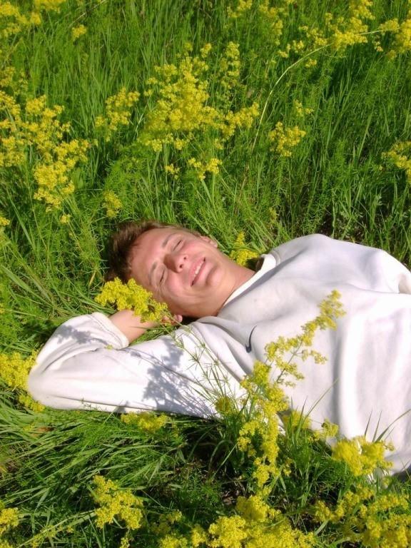 Матрицы земли