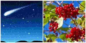 Так рождаются стихи