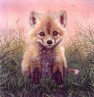 Хочу найти я друга! Часть 41 Малыш Ренар (Читает Есения)