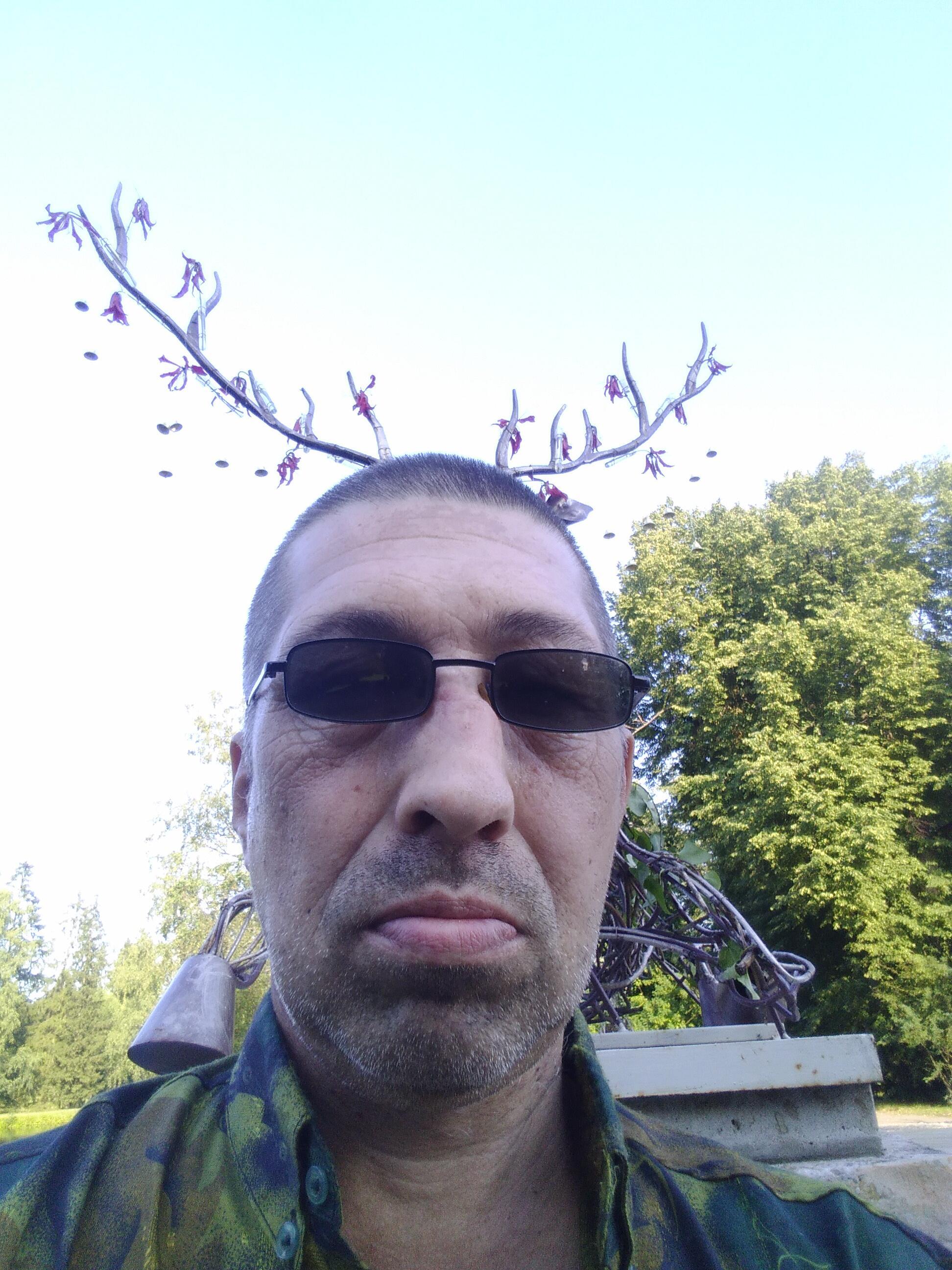 Павловский олень 