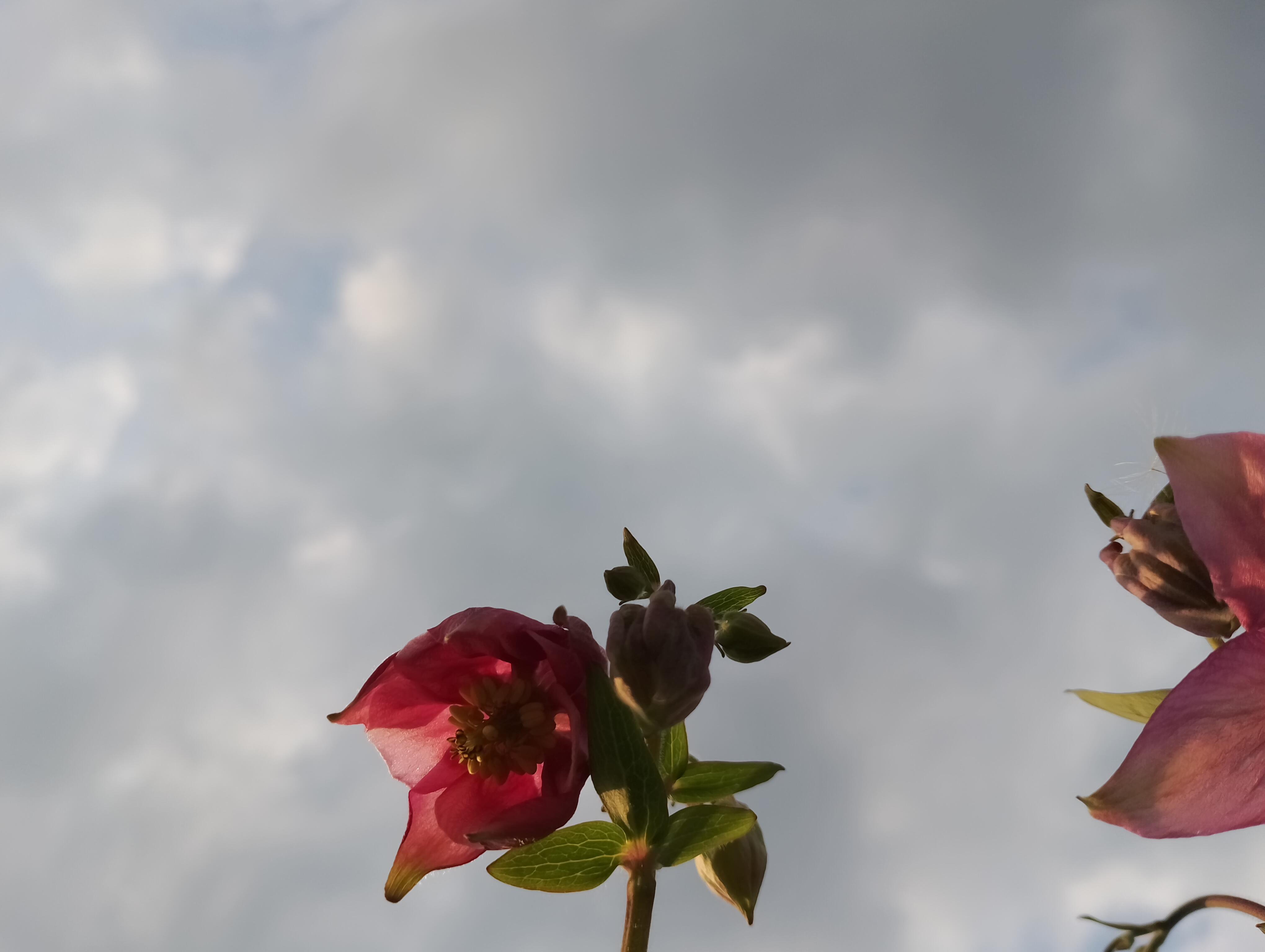 Духи явно в духе