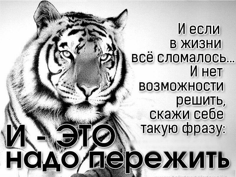 Картинки все переживем все