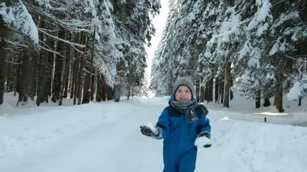 В ожидании  снегопадов…