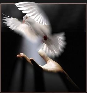 Всех любить не хватит сердца