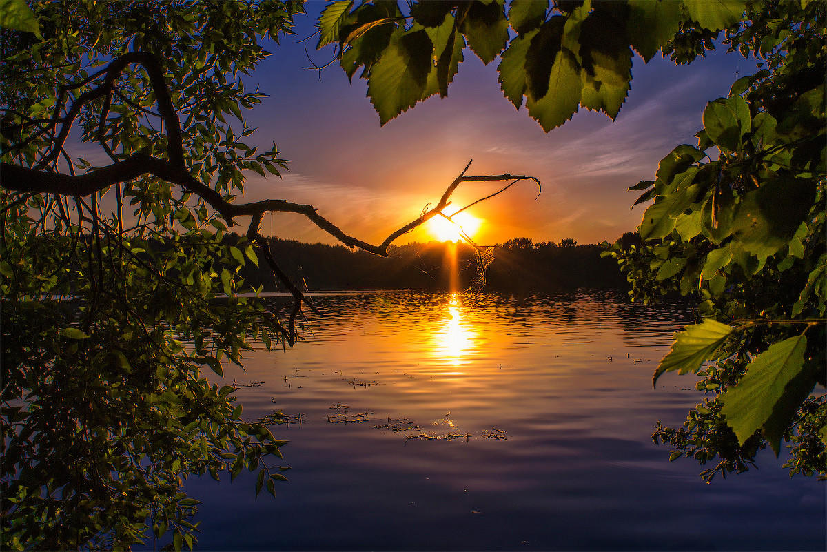 "Летний вечер"