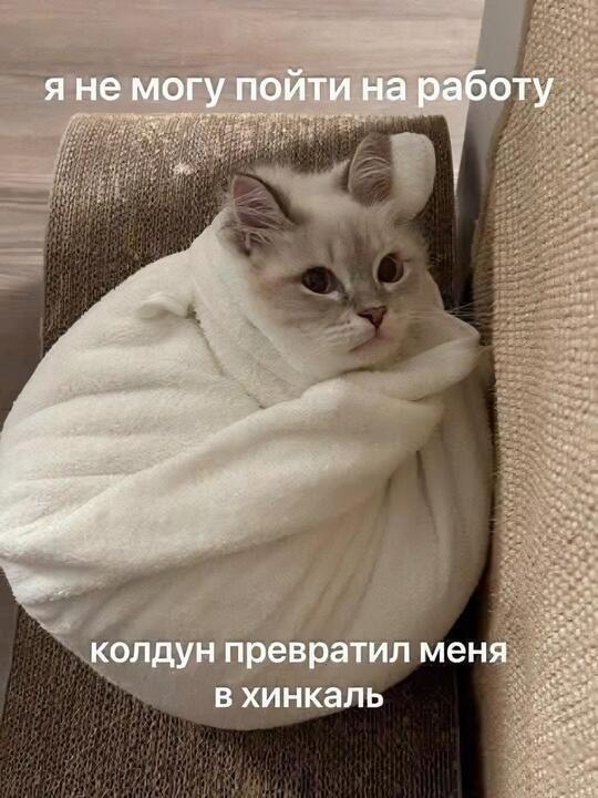 Расчленёнка