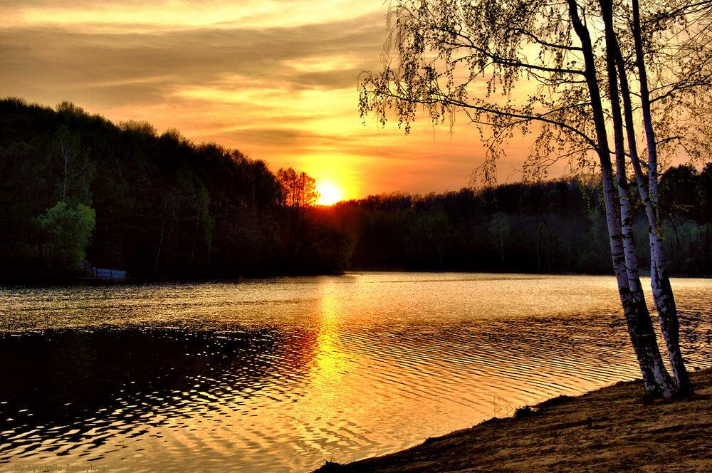 Ну, а может, так лучше... Автор стихов Надежда Байнова. Музыка и исполнение Николай Саллас