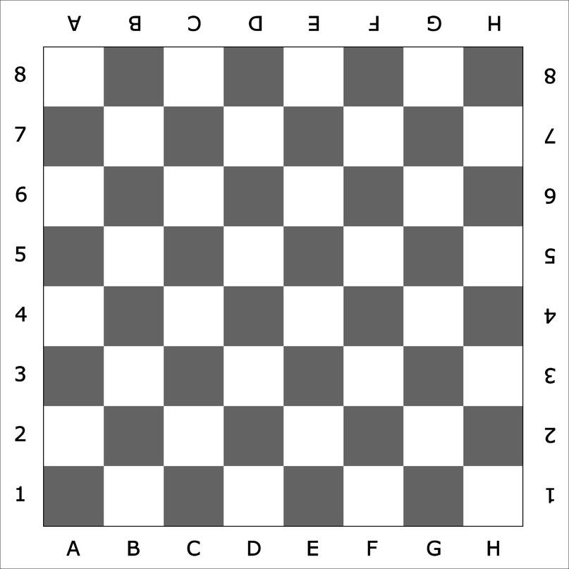 ЖИЗНЬ - СЛОВНО ШАХМАТНЫЕ КЛЕТКИ...