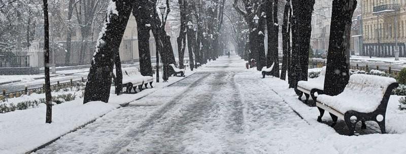  Благородство в этом мире не в чести....