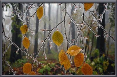 Дремлют у дороги кольцевой...
