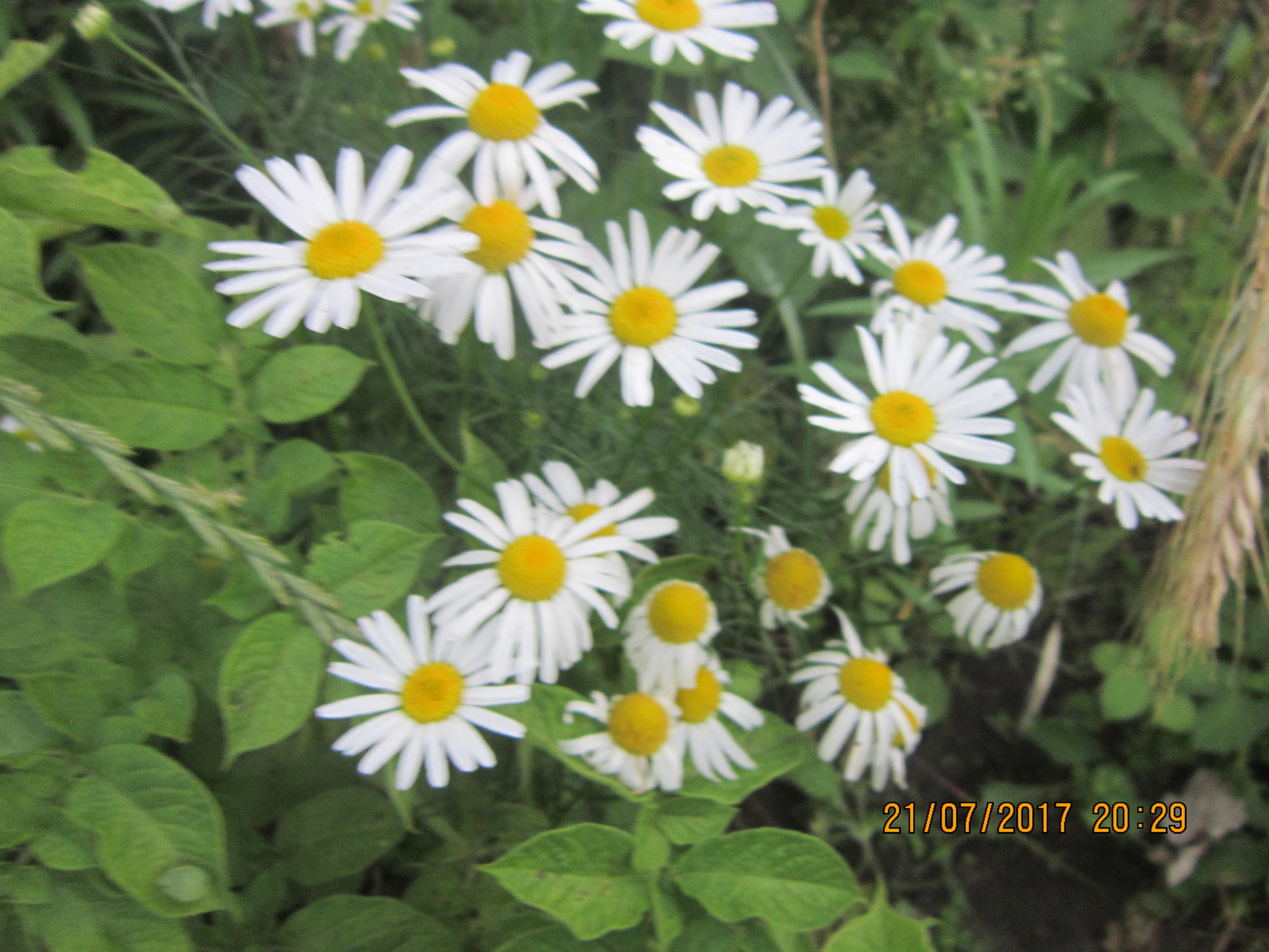 Размышления