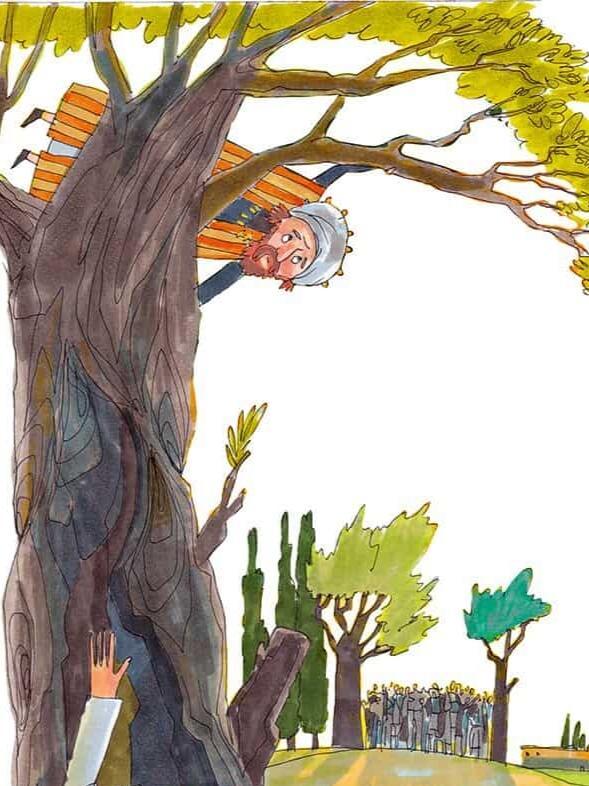 Закхей ( лайт-версия)