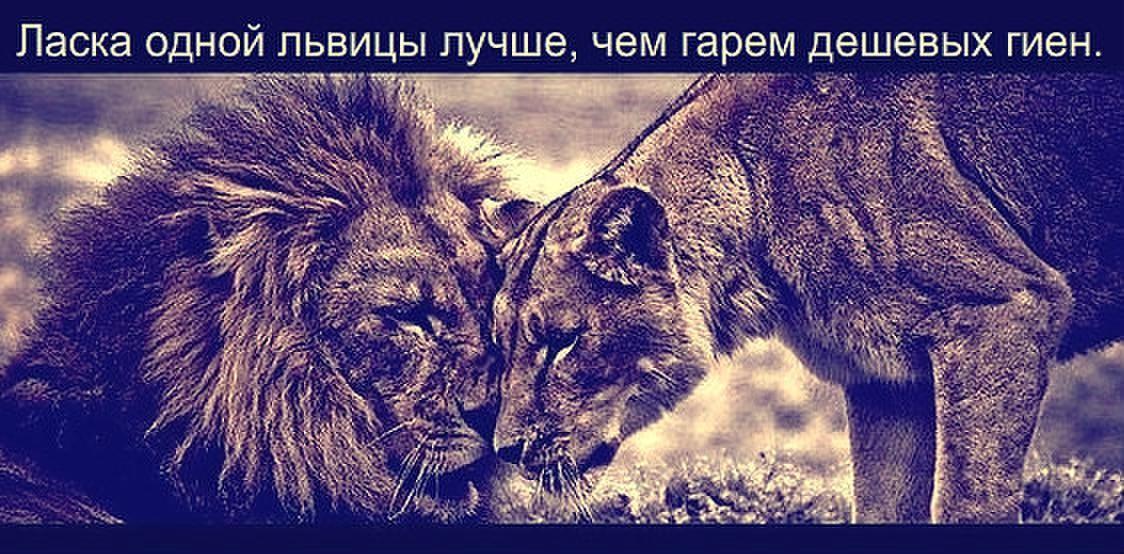 " Вдохновение "