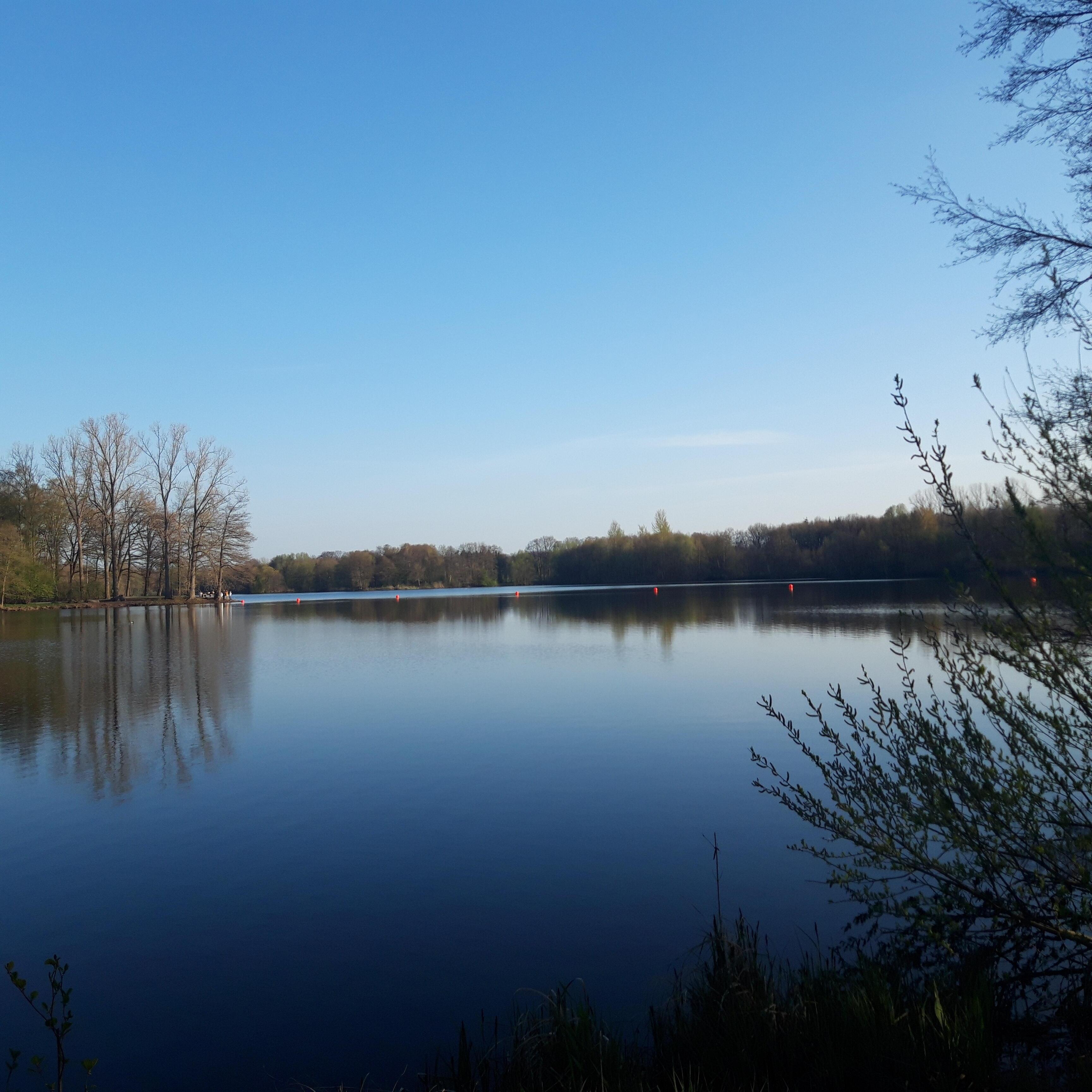 Волшебный стих для сбычи мечт!